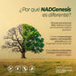 NADGenesis